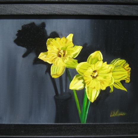 Daffodil's Yellows