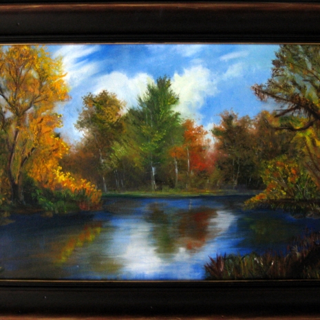 Lake Landscape - minus swan