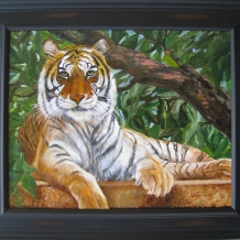 Jasmine Bengal Tiger