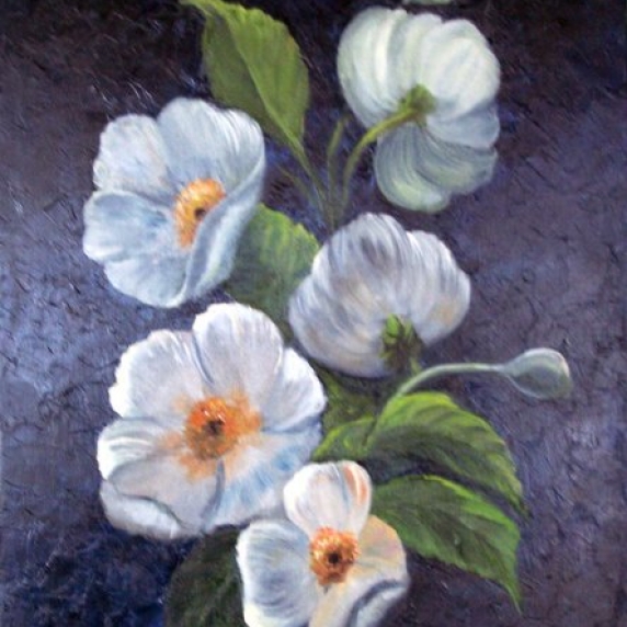 show_july_2007_white_poppies_24x24.jpg
