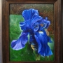 blue_iris.jpg