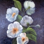 show_july_2007_white_poppies_24x24.jpg