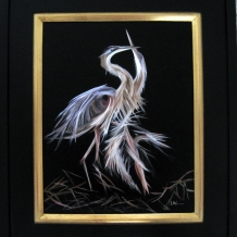 Blue Herons Mating Dance