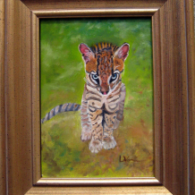 Baby Ocelot