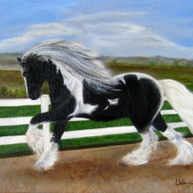 Chyenne All Grown Up