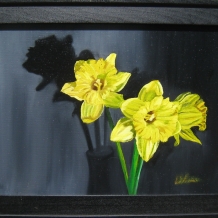 Daffodil's Yellows