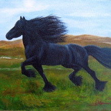 Drakkar in Full Stride