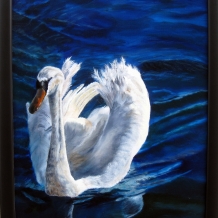 Jamie's Swan
