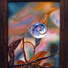 Rain Drop Reflections