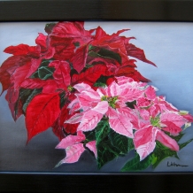 Winter Poinsettias